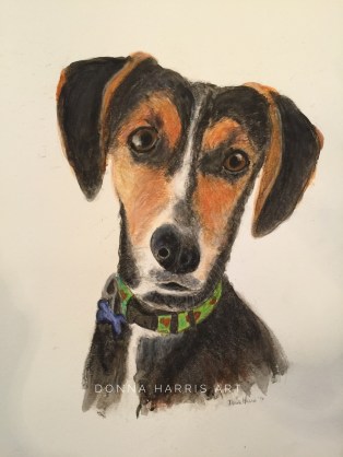 Pet Portrait Riley